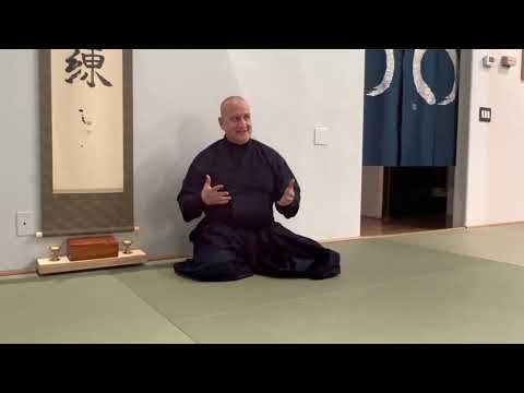 Aikido: A Practical Lecture on How to Do Jiyu Waza & Demonstration