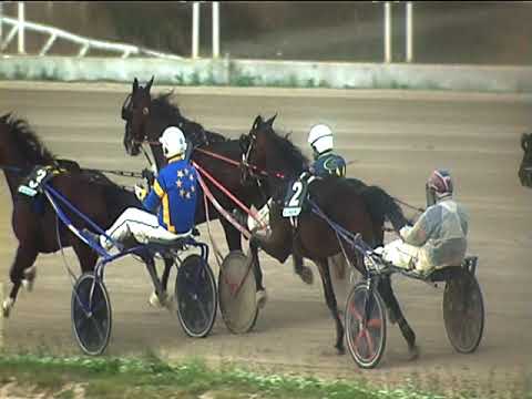 Trotto 28/10/2018 - 4ª corsa