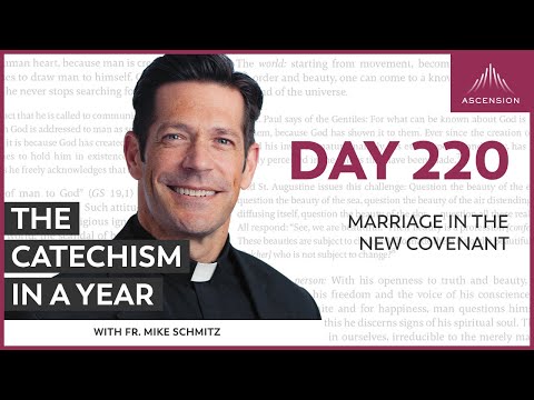 Day 220: Marriage in the New Covenant — The Catechism in a Year (with Fr. Mike Schmitz)