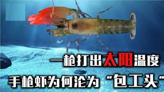 自帶手槍的生物，一槍能打出太陽溫度，殺傷力絕頂卻淪落為包工頭