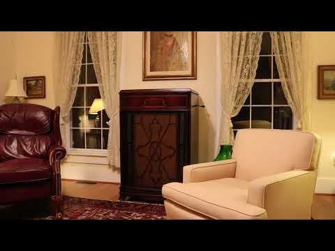 "Underneath the Russian Moon"...Belle Baker...Columbia 800 Viva Tonal Phonograph