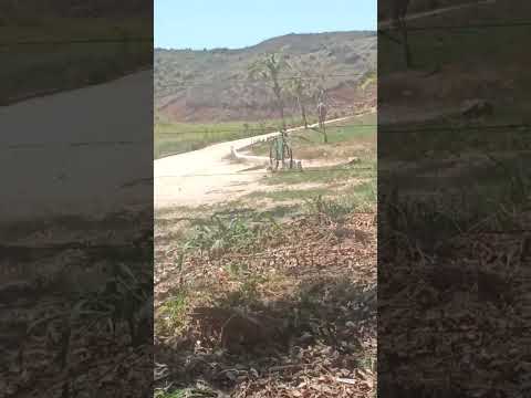 Minha Cidade Franciscópolis Mg #shorts #video