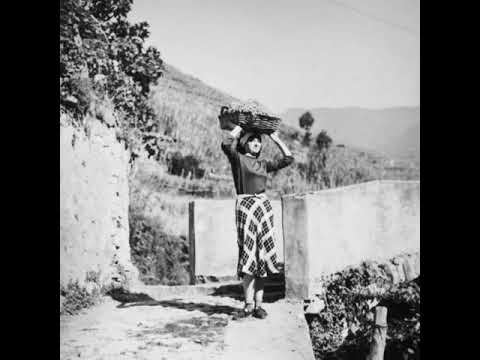 Ciernifarina Tarantella del pastore