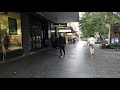 Chatswood Station And Victoria Avenue On A Rainy Day Sydney Walking Sydney Australia
