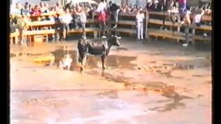 preview picture of video 'Carbajales de Alba (Zamora) - Fiestas 1993 -'