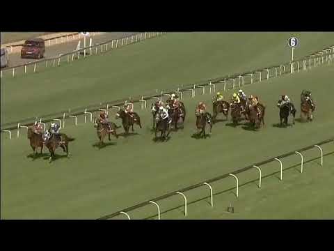 2018.11.03 Charity Mile (RSA) - Coral Fever