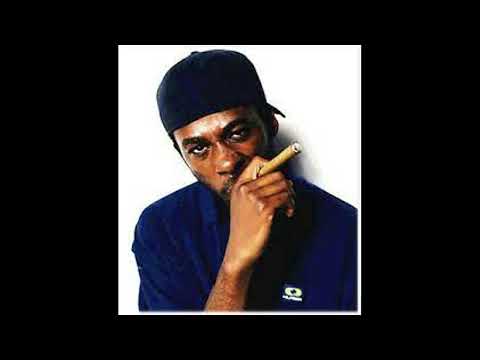 GZA / The Genius mix (full mix)