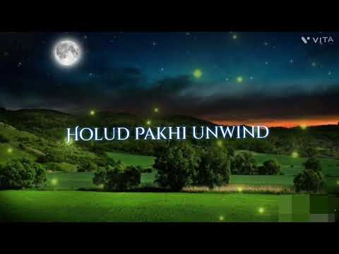 Ishaan Holud Pakhi