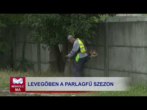 Videó előnézet