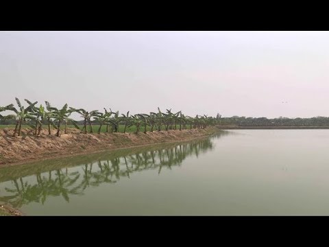রাজশাহীর আবাদি জমিতে পুকুর খনন