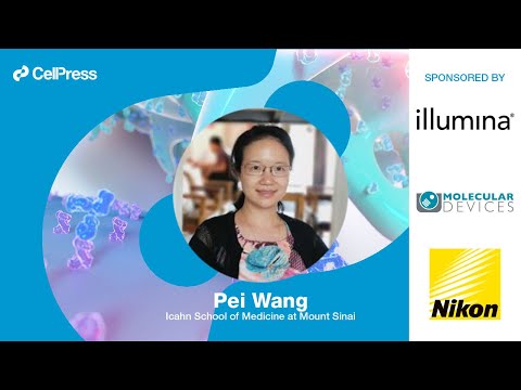 Pei Wang answers: How can we improve quality of life for cancer patients?