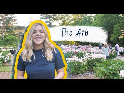 Summer At The University of Michigan - The Arb