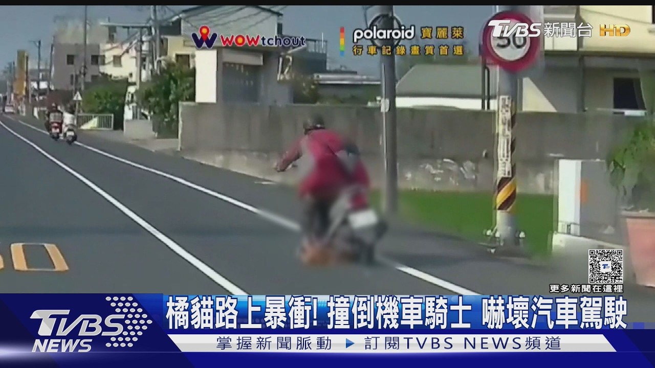 影音/南投貓咪「暴衝」害騎士摔車!彰化駕駛「逆向超車」百米撞騎士