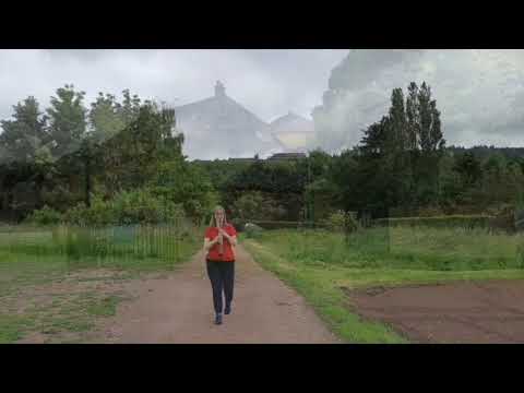 OVW - Mein Waldalgesheim