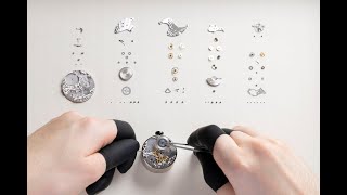 Bvlgari Octo Finissimo 37: Crafting the Art of Time – 2026 Watchmaking Film