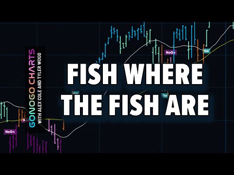 “Fish Where the Fish Are” | GoNoGo Trends for Relative Strength | GoNoGo Charts