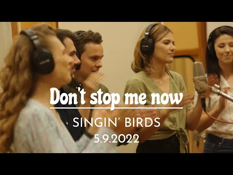 Singin' Birds | Don't Stop Me Now
