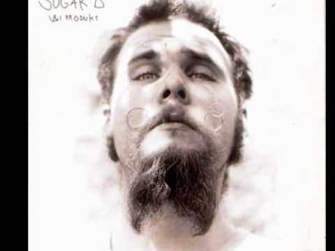 Sugar B   little irie