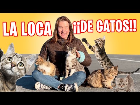 DESCUBRIMOS el HOTEL de GATOS + GRANDE del MUNDO