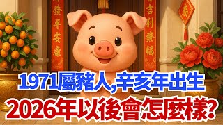 1971年屬豬人，辛亥年出生，2026年以後會怎麼樣？#屬豬 #1971年屬豬 #辛亥豬 #2026運勢 #生肖 #運勢 #命理 #財運 #事業 #五行 #風水 #算命 #生肖運勢