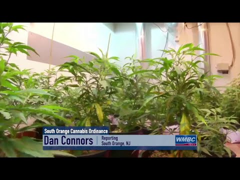 NJ South Orange Cannabis Ordinance