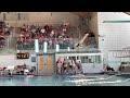 1 Meter dive highlights