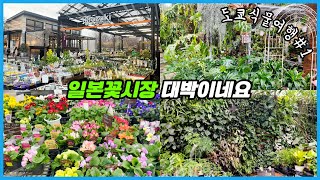 헉 소리나는 일본 꽃시장!! 예쁜 식물에 놀라고 가격에 놀라고!! 도쿄식물여행 1탄!!