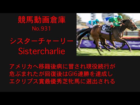 【競馬】シスターチャーリー　Sistercharlie【No 931】
