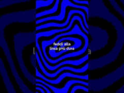 video frame placeholder