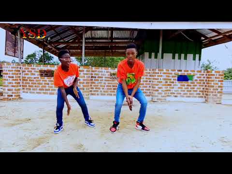 Mona 4Reall ft. Stonebwoy _ Hit (official) dance video