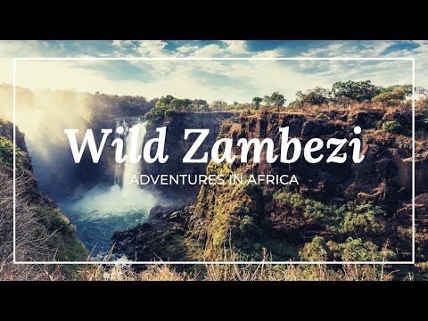 Wild Zambezi - 4K Full Documentary