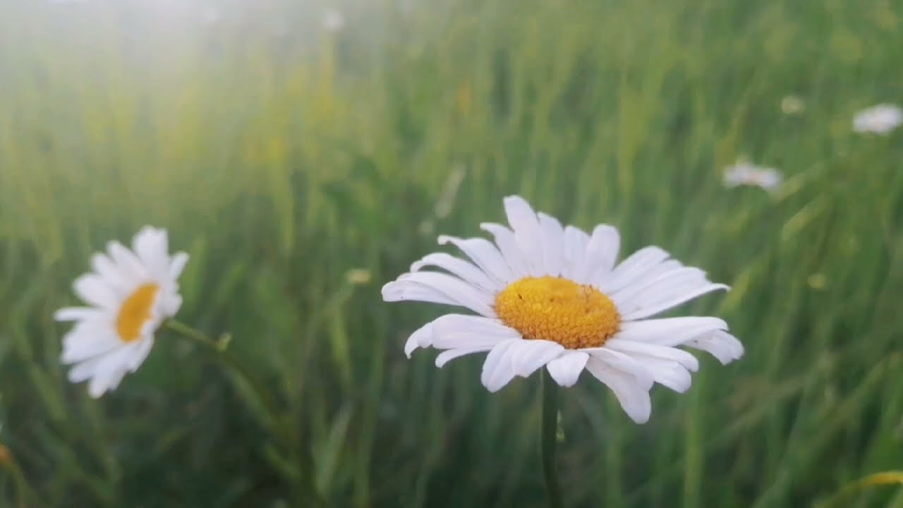 Тестовый товар 2