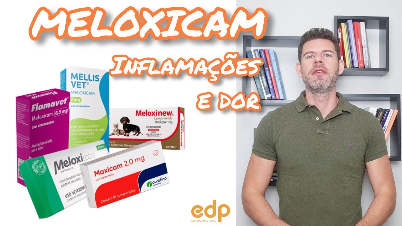 133 | TRATAMENTO PARA CACHORRO E GATO COM DOR E INFLAMAÇÃO - MELOXICAM