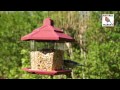 Gazebo en plastique recyclé Nature Market Mangeoire oiseaux pour graines Gazebo en plastique recyclé Nature Market Mangeoire oiseaux pour graines