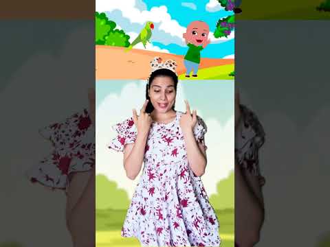 Main Tota Hare Rang Ka — मैं तोता हरे रंग का