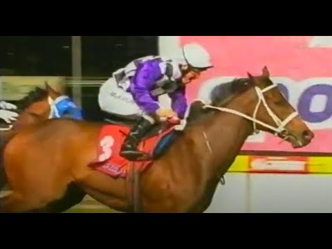 2009/2010 Season (2/10) Theo Marks Stakes Day - Manikato Stakes Night