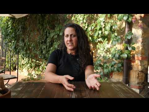 Puntata 15 – COSA VUOI CHE TI DICA? Intervista spalle al muro, Beatrice Di Gaetano, Casa degli Ulivi