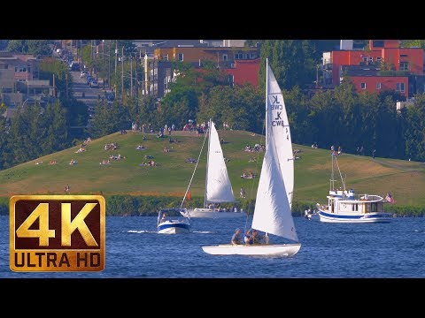 3 Hours - 4K Urban Relaxation Video | Nature Sounds - Seattle Lake Union Park