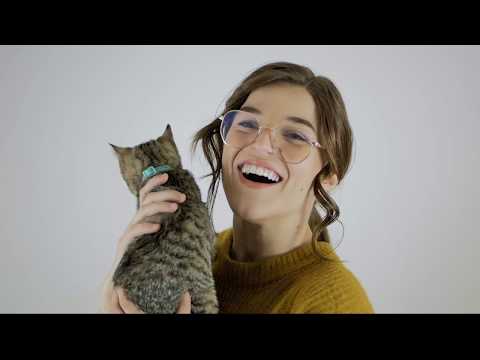 Taylor Karin - CANDICE Modern Family