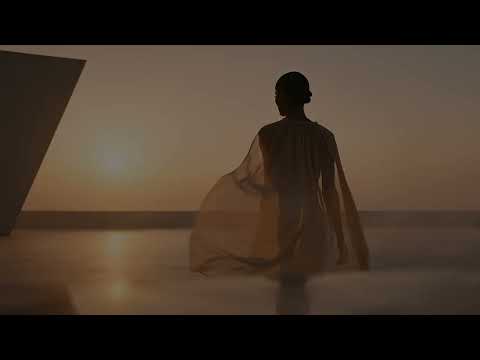 Extended Revealer Video