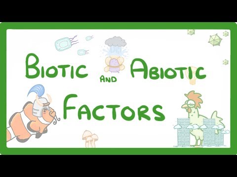 Kingdoms of Life Animals Plants Fungi Protoctists Bacteria and Viruses 1