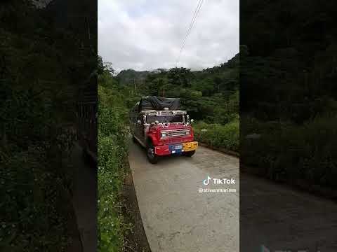 chivas en San José del palmar