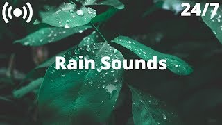 Rain Sounds Falling Through Leaves | Relaxing Sounds for Sleeping Instantly, Insomnia &amp; Relaxation