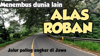Download lagu Perjalanan melewati DUNIA LAIN !!JALUR KUNO PALING ANGKER Indonesia motovlog jalan tengah ALAS ROBAN mp3 Download lagu Perjalanan melewati DUNIA LAIN !!JALUR KUNO PALING ANGKER Indonesia motovlog jalan tengah ALAS ROBAN mp3