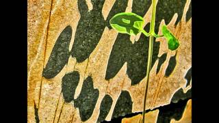 Tift Merritt - "Still Pretending"