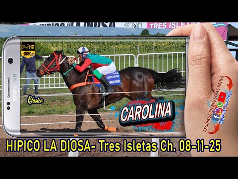 CAROLINA-Gran Clasico Chaqueño- Sabado 08-11-25- Hipico La Diosa, Tres isletas Ch.