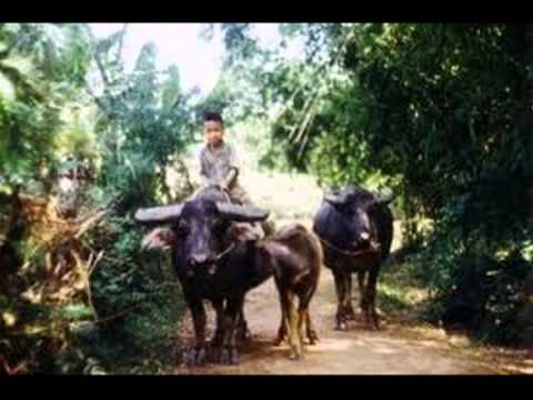 Thể hiện bởi Duy Khánh