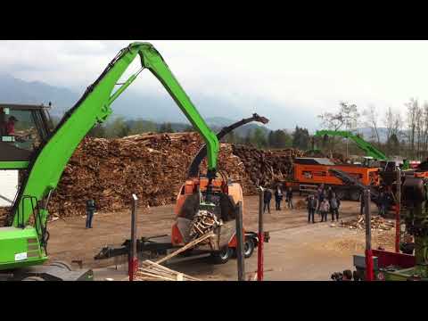 DH 811   Schwartenholz