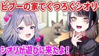 シオリが日本に到着！ビブーのお家でJohn Catに会ったり、のんびり過ごすシオリン【ホロライブ切り抜き/古石ビジュー/シオリ・ノヴェラ】