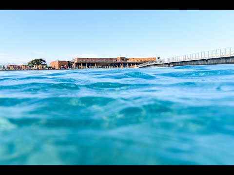 Reubyn Ash & Jay Quinn testimonial about The Wave Bristol